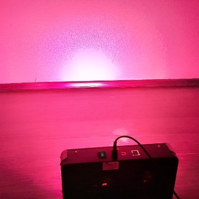 robreiner11's profile picture. 