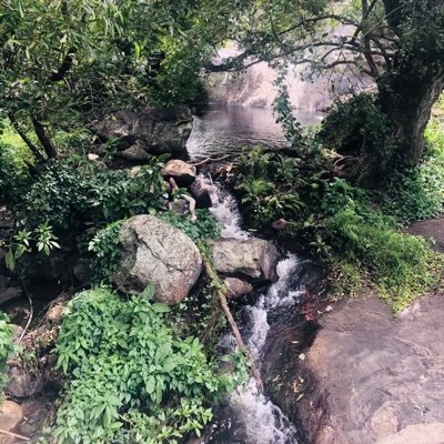 darkknight20397's profile picture. 