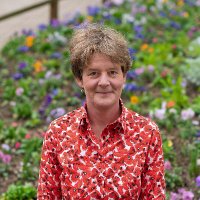 Catherine Candelier (@cathcandelier) 's Twitter Profile Photo Catherine Candelier (@cathcandelier) 's Twitter Profile Photo