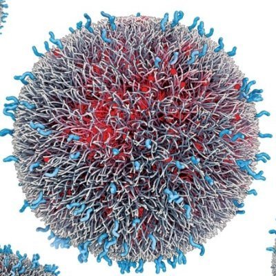 International Conference on Nanomedicine and Drug Delivery