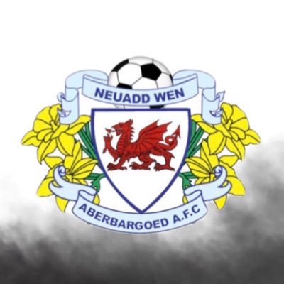 NeuaddWenFC Profile Picture