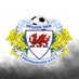 Neuadd Wen FC (@NeuaddWenFC) Twitter profile photo