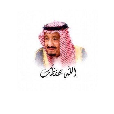 محمد بن وائل 2030