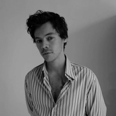 dedicated to the singer, songwriter, actor Harry Styles.