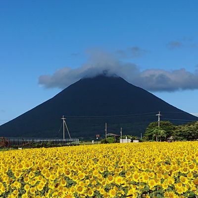 山口東京埼玉に在住歴あり
Loves:ALL広島
競馬(松(岡正海,山弘平,若風馬)田辺裕信)
BOATRACE(3499,3731,3942,4045,4991,5015,4581,4151,3906,4143,4004,4205)
競輪(松浦悠士,町田太我,黒瀬浩太郎,児玉碧衣,野﨑菜美,宇野紅音)