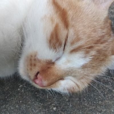 ClassickGuy's profile picture. what has been seen, can never be forgotten.