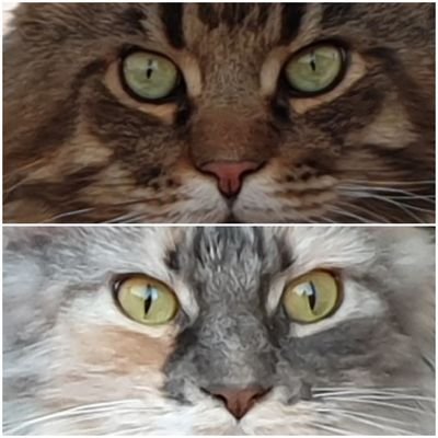 Helenini21's profile picture. 