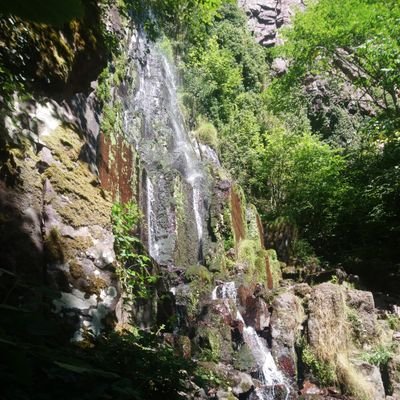 ecosolution_'s profile picture. Solutions écologiques à toute échelle