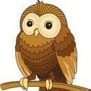 Drumpark Owls