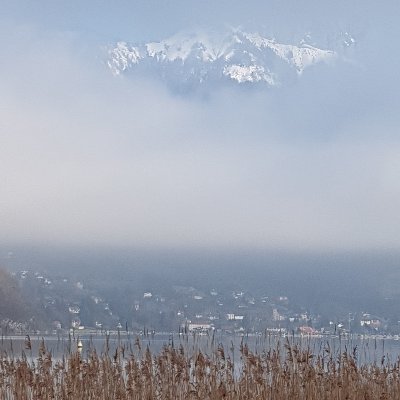 Vienne69110000's profile picture. 