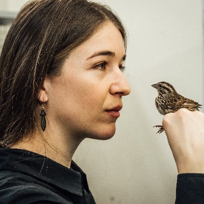 Behavioural ecologist | Rose PDF @Cornell @CornellBirds | she/they
🥊🥋🚴‍♀️🐦🏞️🏕️👩🏻‍🔬🥁📚🏳️‍🌈
@LeaGrie@mastodon.social @leagrie.bsky.social