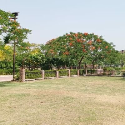 chitrangnakumar's profile picture. Male from Delhi