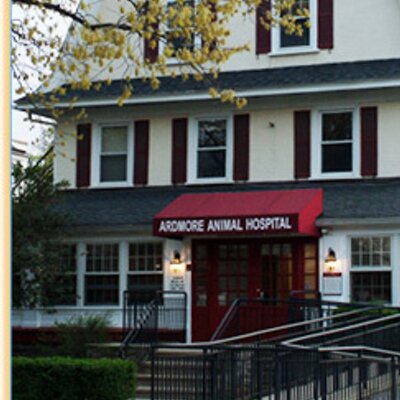 Ardmore Animal Hosp. (@ArdmoreAH) / Twitter Ardmore Animal Hosp. (@ArdmoreAH) / Twitter