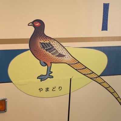 rockcat_x's profile picture. 冒険家