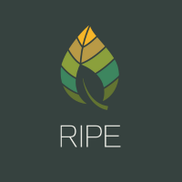 The RIPE Project (@ripeproject) 's Twitter Profile Photo The RIPE Project (@ripeproject) 's Twitter Profile Photo