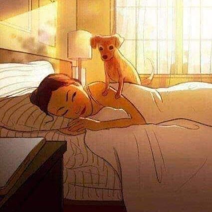 Jan_1916's profile picture. Enamorada del @Atlasfc ❤⚫