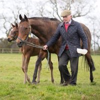 Yeomanstown Lodge Stud(@YeomanstownLodg) 's Twitter Profileg