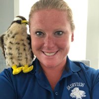 Meghan Ehrman (@teachmemrse) 's Twitter Profile