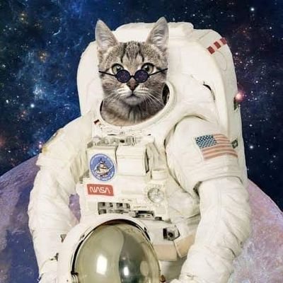Una chica que piensa como un chico y desearía ser un gato, DG. Chef con cabello rebelde y chispas de chocolate, melómana de corazón y amante del arte.