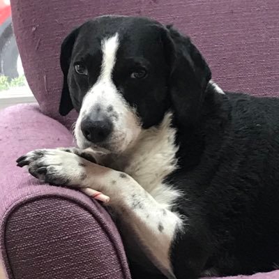 Lisanne28's profile picture. Former Nassau County Legislator