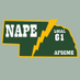 NAPE/AFSCME Local 61 (@NAPEAFSCME61) Twitter profile photo