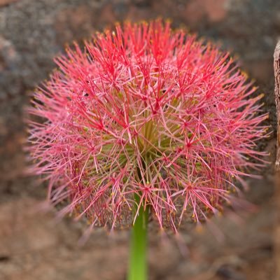 bhreddy3's profile picture. 