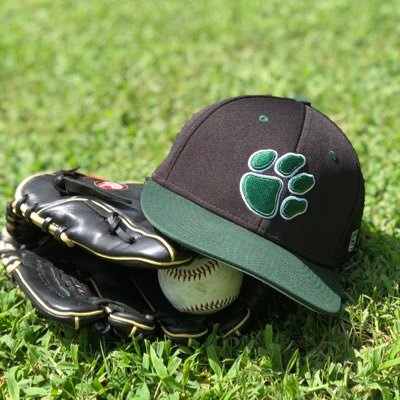 Official twitter of the Bunn High Wildcats Baseball Team. Stay updated on scores and team news. #Wildcat9 ⚾️