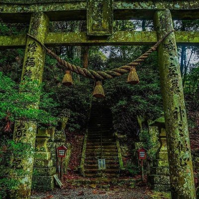 artwhoisshe's profile picture. 