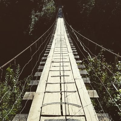 Sin colores, sin pelos en la lengua, sin temor, solo la verdad.