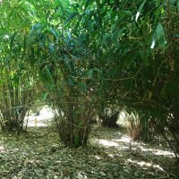 Green Pot Enterprises Ltd (@greenpotke) 's Twitter Profile