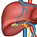 St George's Hospital Hepatology (@stghepatology) Twitter profile photo St George's Hospital Hepatology (@stghepatology) Twitter profile photo