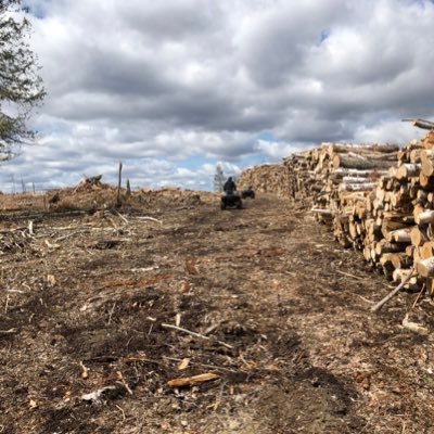 tyler98235735's profile picture. You