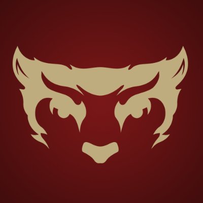 wubearcats Profile Picture