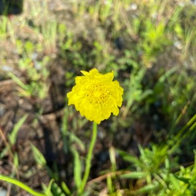 wereallgonnadi7's profile picture. there’s a song in all of us