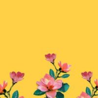 Rowan's Room🇺🇦🇵🇸 (@rowansayshi) 's Twitter Profile