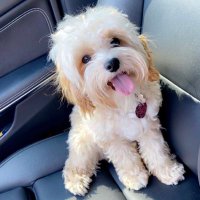 Pam Hamlin (@pamhamlin5) 's Twitter Profile