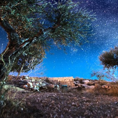 Olive83282137's profile picture. 