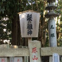 sunpine (@sunpine1113) 's Twitter Profile