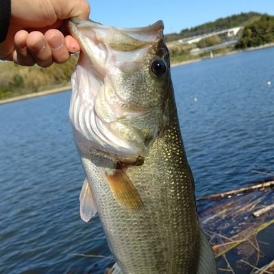 趣味…バス釣り!!
高滝に出撃してます!
釣り仲間募集しています。
無言フォローごめんなさい🙏    ゴミを拾いましょう!!
出来ないなら、釣りを辞めて下さい。