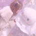 ねお。🐹 (@_pokopuku) Twitter profile photo ねお。🐹 (@_pokopuku) Twitter profile photo