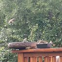 John Pound - @JohnPou81724683 - Twitter