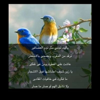‏
- لا تبحث عن سَند، إسند نفسك بنفسك.