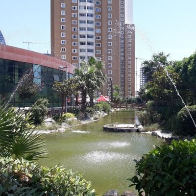 Om_Adam23's profile picture. And those who were seen dancing were thought to be insane by those who could not hear the music.

Friedrich Nietzsche