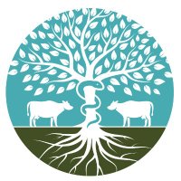 RootCause MD (@rootcausedoctor) 's Twitter Profile Photo RootCause MD (@rootcausedoctor) 's Twitter Profile Photo