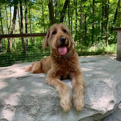 hmoehl's profile picture. Faith and Family ❤️