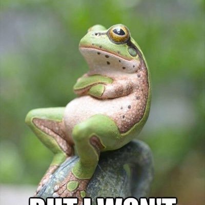 testbench8000's profile picture. 