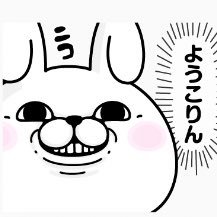 ようこりんさんのプロフィール画像