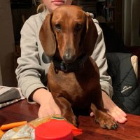 Louise Hemsley-Smith (@bosworthwines) 's Twitter Profile