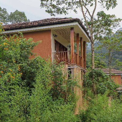 Four Gorillas Lodge - The Best Luxurious Accommodation in Bwindi Forest National Park Rushaga Sector