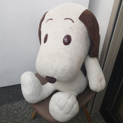 ya_n_tea's profile picture. 無言フォロー失礼します 主にダイエットと美容